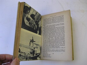 Click for Full Size image: 300 x 225 (17698 bytes)