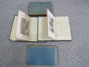 Click for Full Size image: 300 x 225 (42541 bytes)