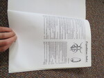 Select for Full Size image: 300 x 225 (38523 bytes)