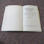 Select for Full Size image: 300 x 300 (47525 bytes)