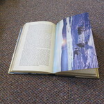 Select for Full Size image: 300 x 300 (55292 bytes)