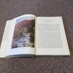 Select for Full Size image: 300 x 300 (51617 bytes)