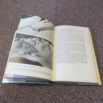 Select for Full Size image: 300 x 300 (51436 bytes)