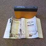 Select for Full Size image: 300 x 300 (54354 bytes)