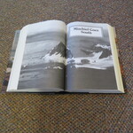 Select for Full Size image: 300 x 300 (52932 bytes)