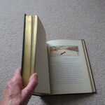 Select for Full Size image: 300 x 300 (44326 bytes)