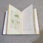 Select for Full Size image: 300 x 300 (47805 bytes)