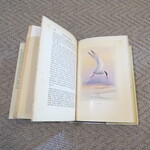 Select for Full Size image: 300 x 300 (46943 bytes)