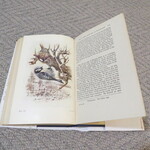 Select for Full Size image: 300 x 300 (47952 bytes)