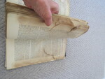 Select for Full Size image: 300 x 225 (39063 bytes)